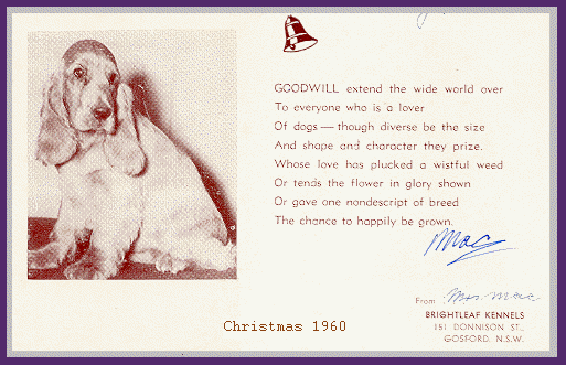Image Of Chrismas Card From 1960 with picture of English Cocker Spaniel